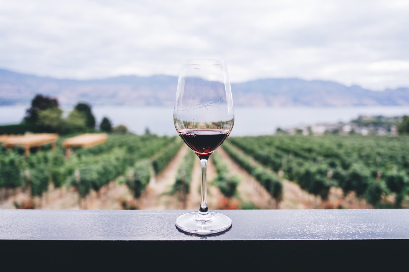 Vignobles de Bordeaux